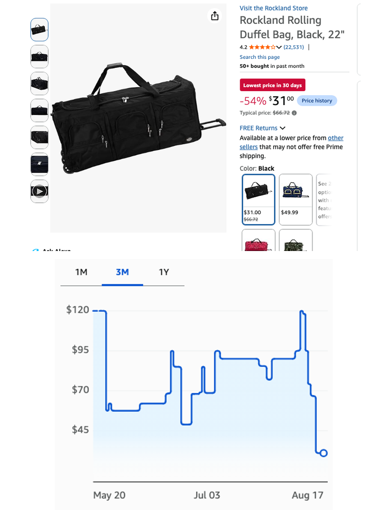 Rockland Rolling Duffel Bag, Black, 22"