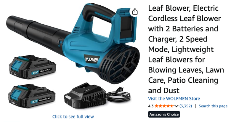 Cordless Leaf Blower with 2 Batteries and Charger