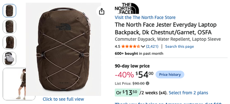 The North Face Jester Everyday Laptop Backpack