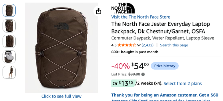 The North Face Jester Everyday Laptop Backpack
